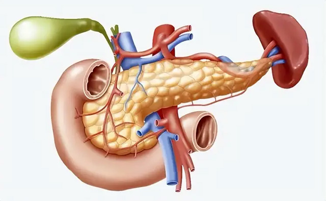 結腸癌醫院哪家好？結腸癌該如何預防？